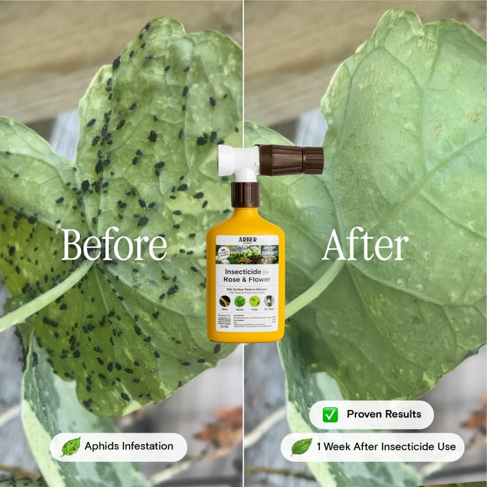 Organic Insecticide for Rose & Flower - Ed's Plant Shop