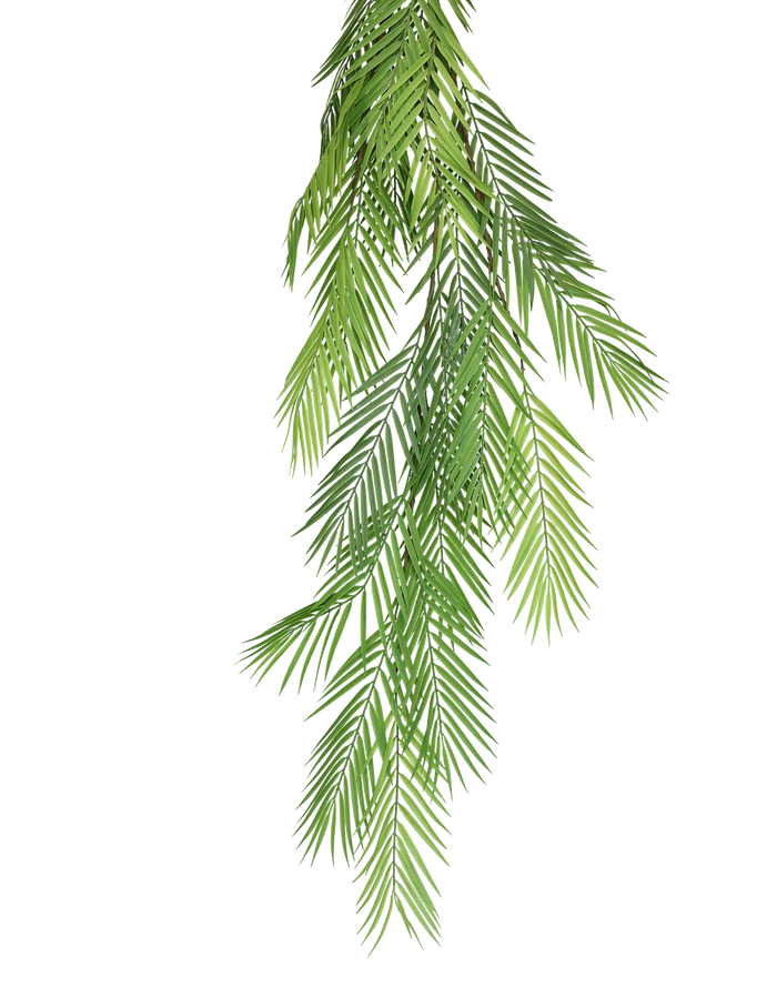 Palm Spray Green