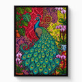 Peacock Unfurled — peacock unfurled white studio framed black