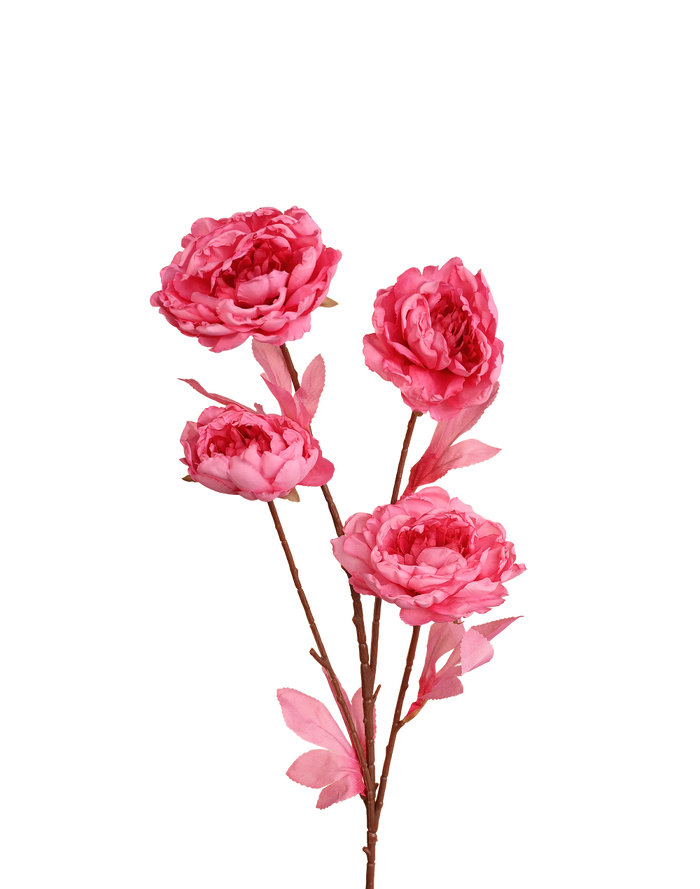 Peony Spray | Available in 2 Colors