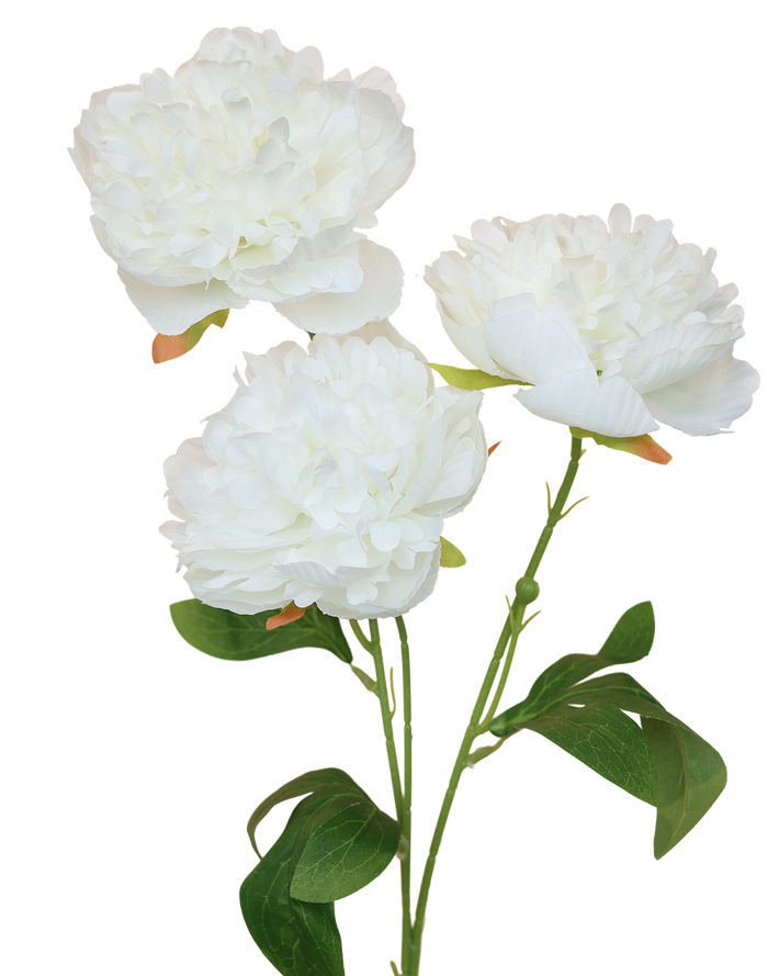 Peony Spray | Available in 2 Colors