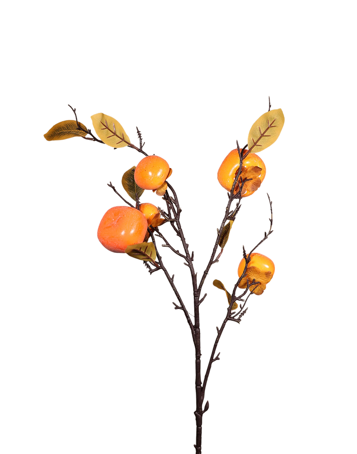 Persimon Branch-32"