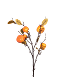 Persimon Branch-32"