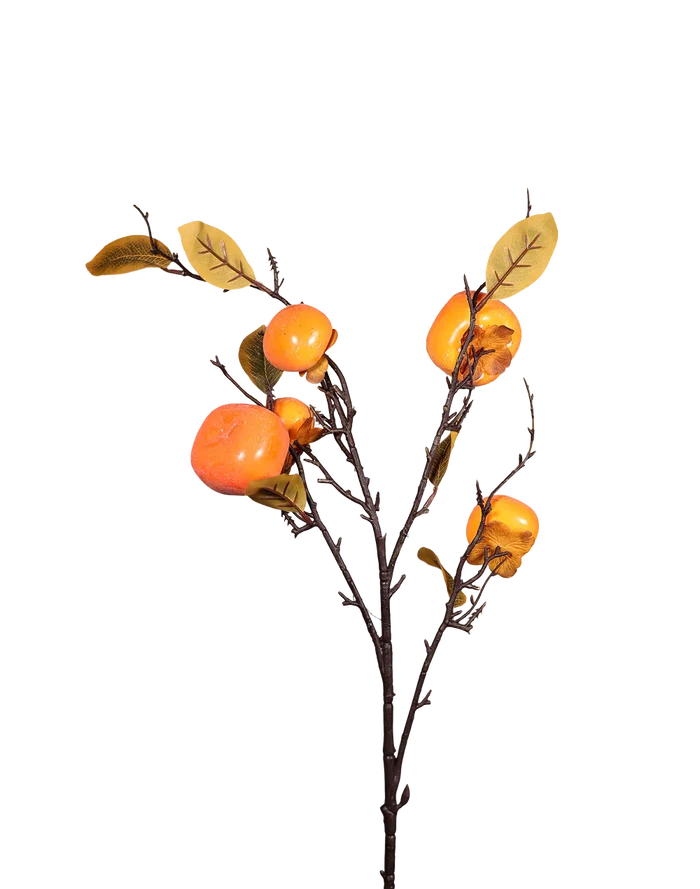 Persimon Branch-32"