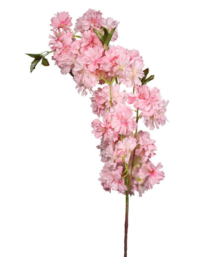 Pink Cherry Blossom-36" Pink