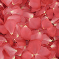 Pink Guava Dried Rose Petals