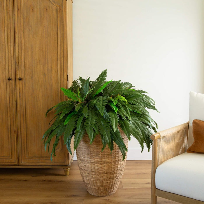 Premium 48″ Boston Fern (Set of 2) – Ultra‑Realistic Faux Silk Fronds - Ed's Plant Shop