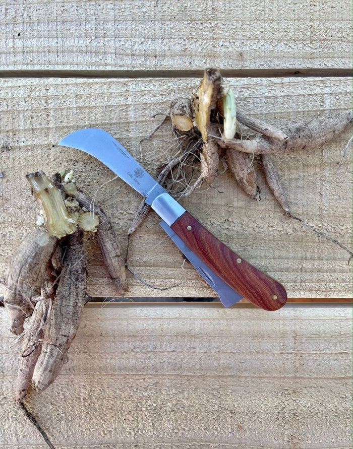 Professional Gardener's Knife - For Pruning, Grafting and Propagation - Ed's Plant Shop