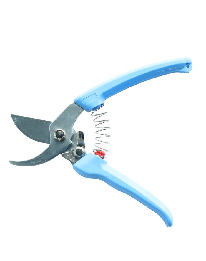 Professional Prune Cutter