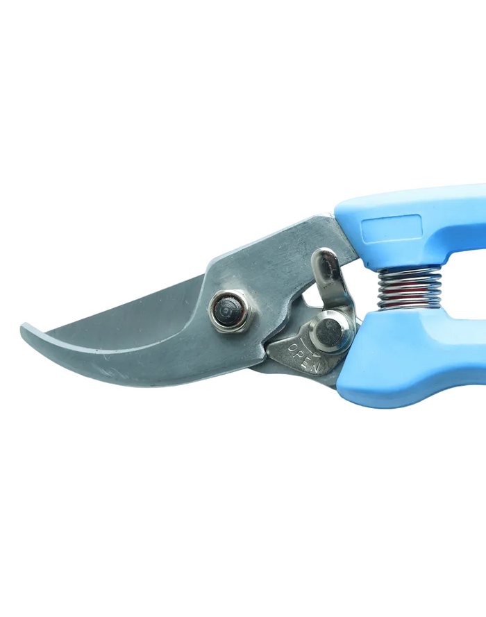 Professional Prune Cutter
