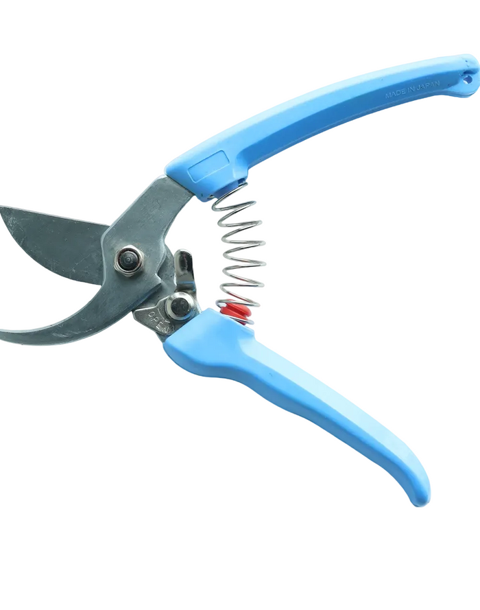 Professional Prune Cutter