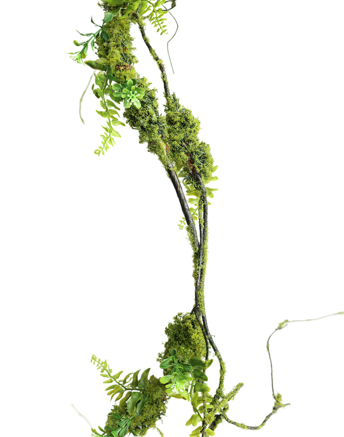 Prouted Pine Vine