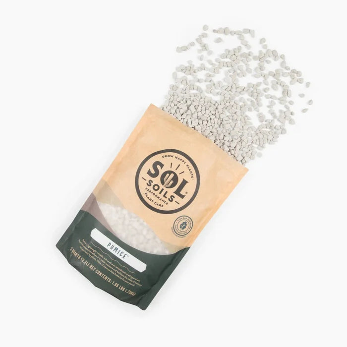 Pumice – Lightweight Volcanic Soil Amendment for Healthy Plants - Ed's Plant Shop