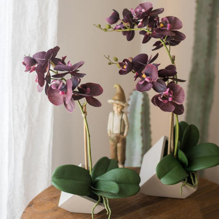 Purple orchids in a white pot on a wooden surface with a blurred background