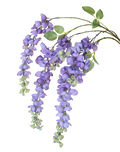 Purple Wisteria Spray