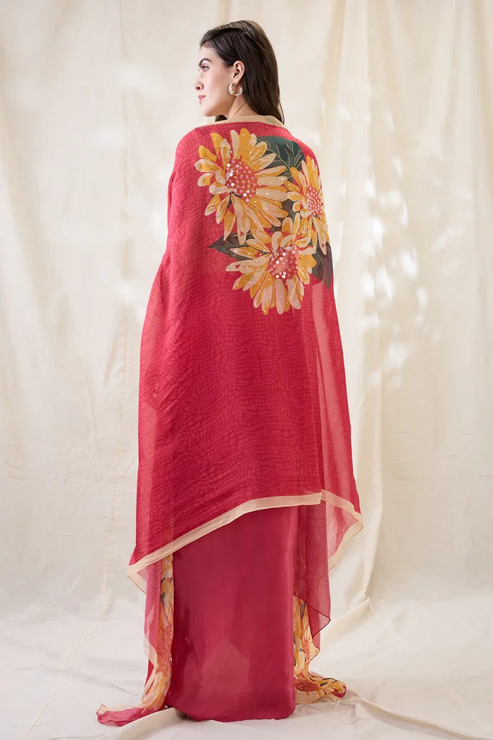 Ravya Drape Skirt Set