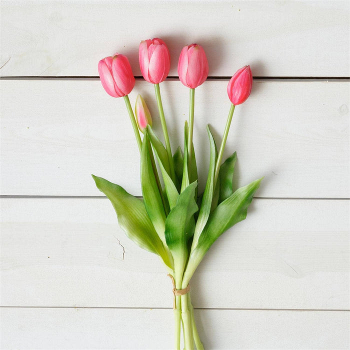 Real Feel Tulip, Pink