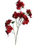 Red Bougainvillea-33" Red