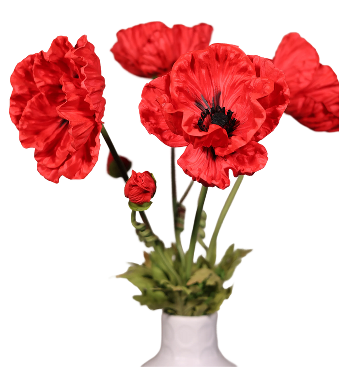 Red Poppy-33"