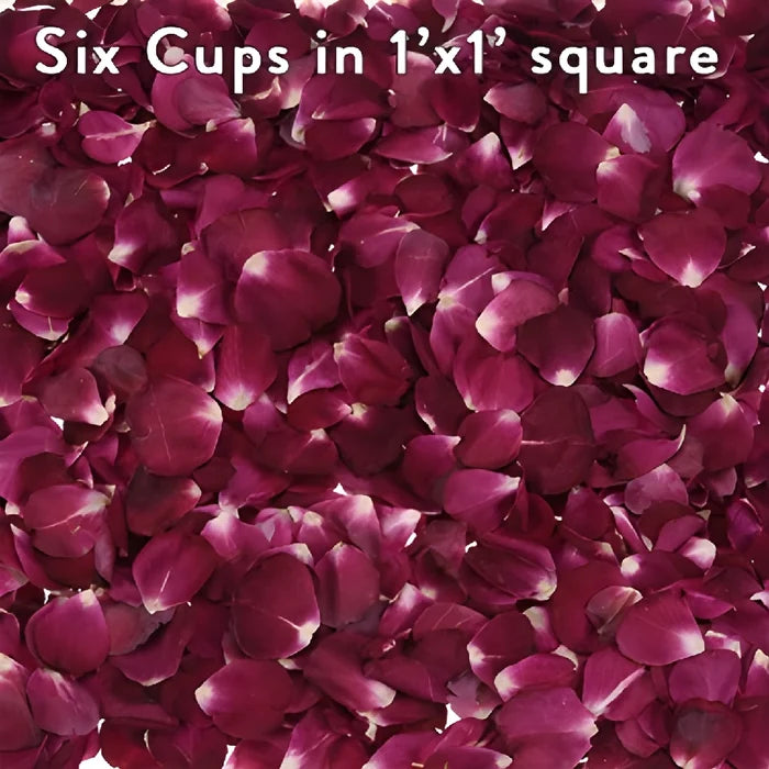 Red Dried Real Rose Petals