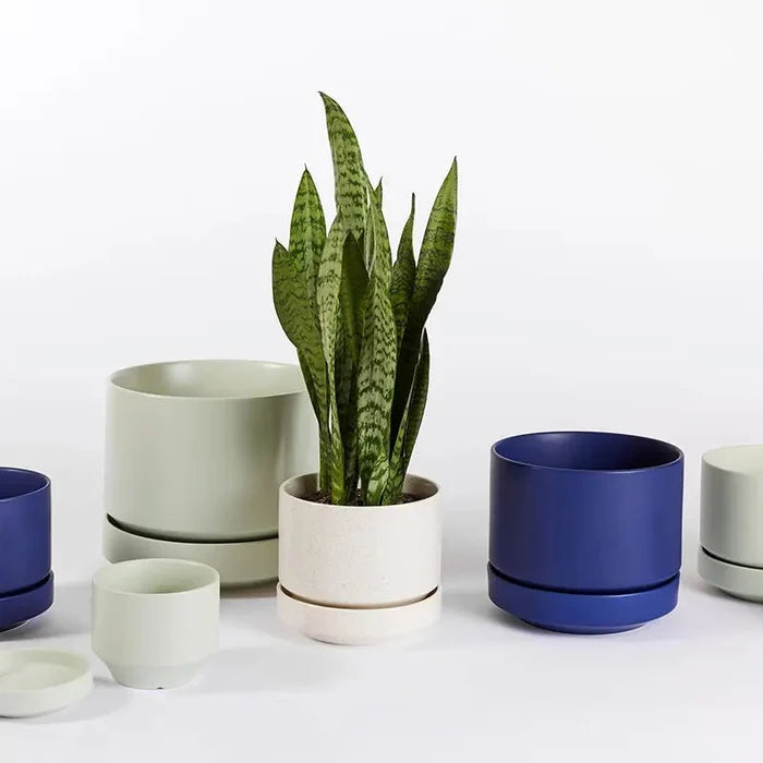 Round Two Ceramic Planter – 4", 6", 8", 10" (With Drainage & Saucer) - Ed's Plant Shop