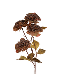 Rustic Brown Dried Look Garden Rose Brown