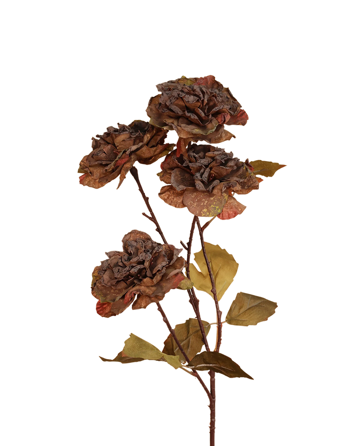 Rustic Brown Dried Look Garden Rose Brown