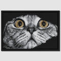 Scottish Fold Intense — Scottish Fold Intense Close Up Landscape 65