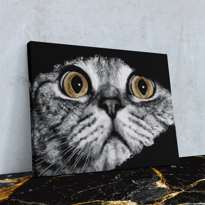 Scottish Fold Intense — Scottish Fold Intense Against Wall4x5 Reflect 1