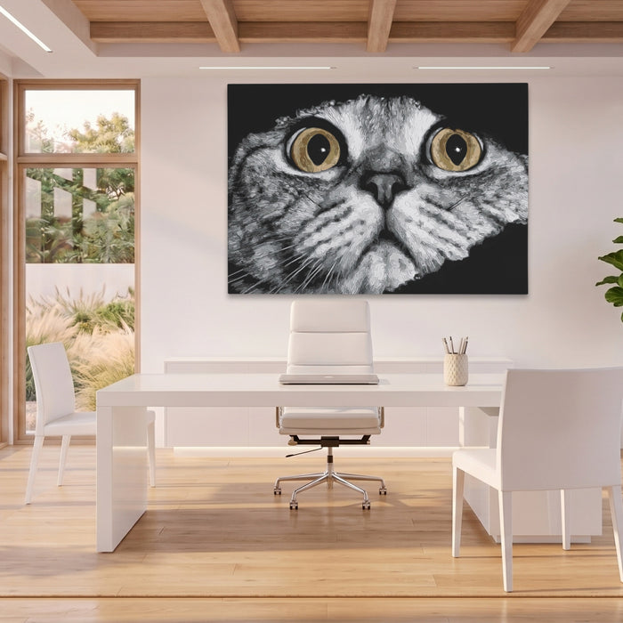 Scottish Fold Intense — Scottish Fold Intense Beach House Office Land 17