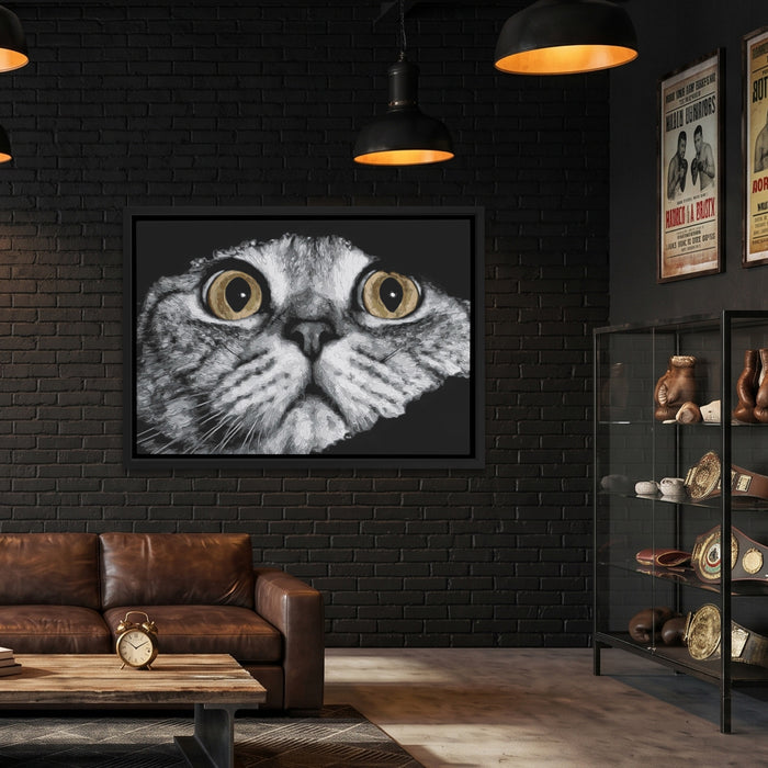 Scottish Fold Intense — Scottish Fold Intense Boxing Lab Land 49