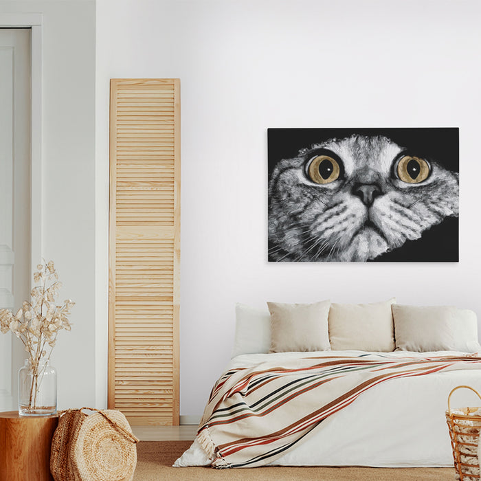 Scottish Fold Intense — Scottish Fold Intense New   Land Nice Bedroom 129