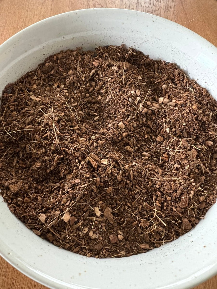 Seedling & Propagation Mix - Ed's Plant Shop