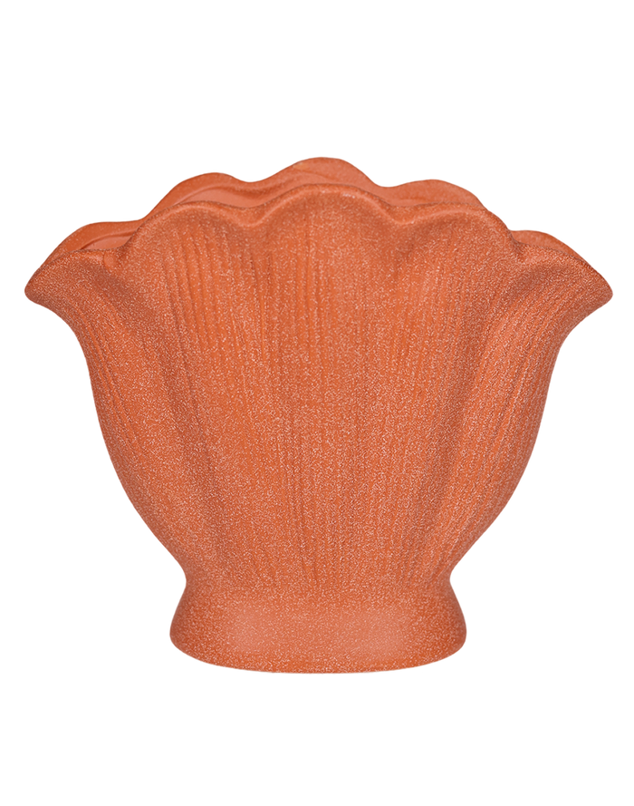 Shell Terracotta- Large