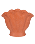 Shell Terracotta- Large