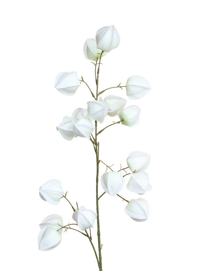 Silk Lantern Flower | Available in 2 Colors