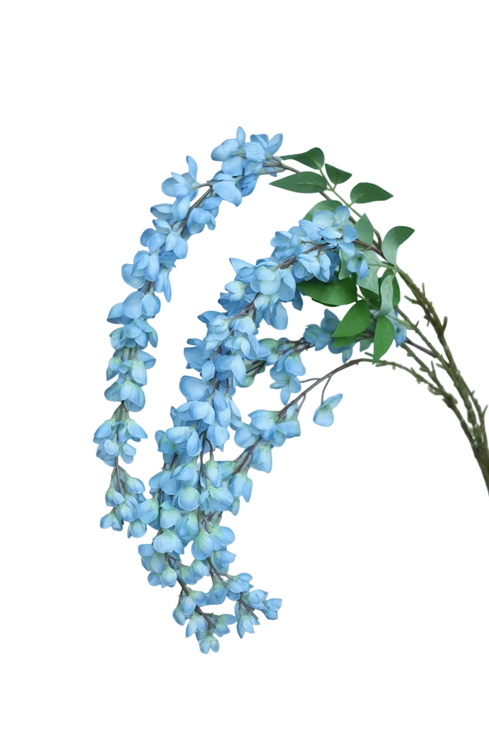 Sky Blue Wistera