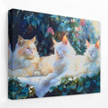 Sleeping White Cats - Animals Canvas Wall Art