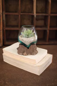 Small Blown Glass Terrarium