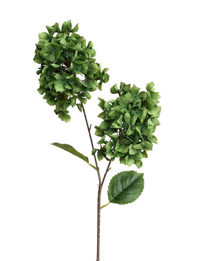 Snowball Viburnum | Available in 4 Colors