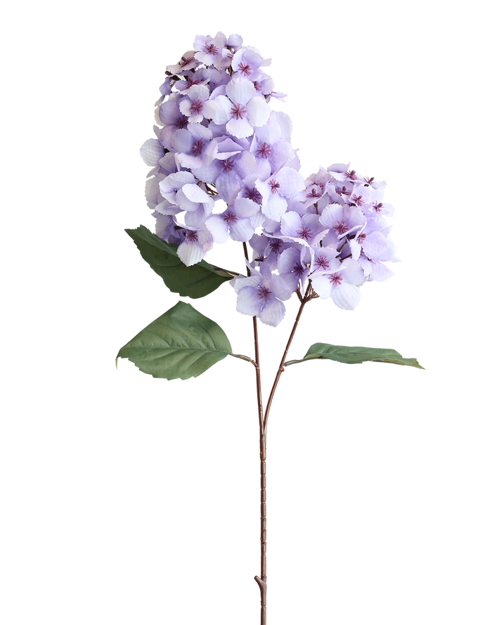 Snowball Viburnum | Available in 4 Colors