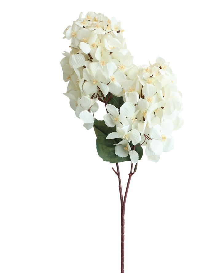 Snowball Viburnum | Available in 4 Colors