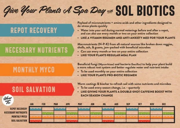 Sol Biotics – Repot Recovery: Probiotic Transplant Shock Relief - Ed's Plant Shop