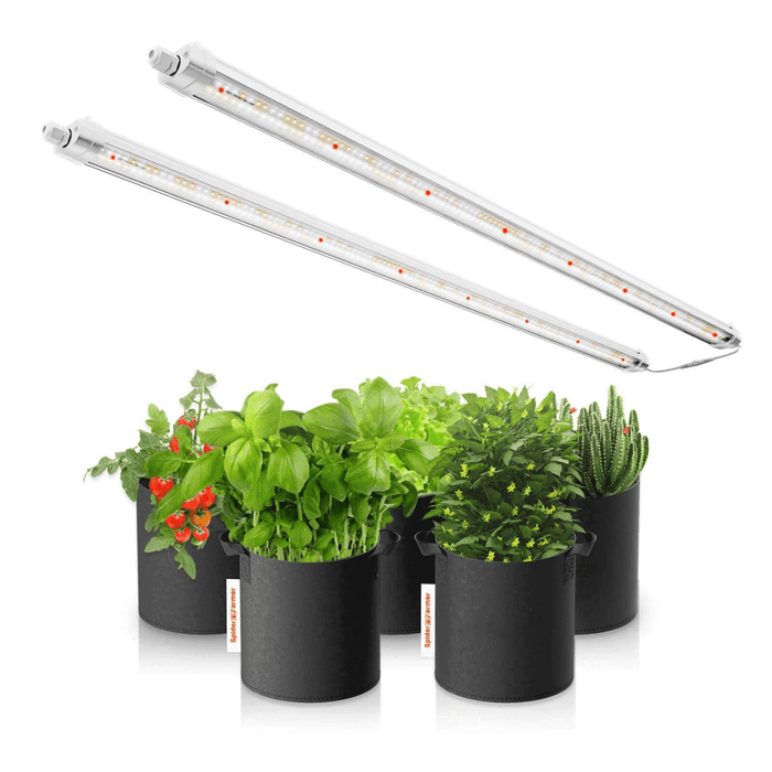 Spider Farmer Glow80 80W Full Spectrum LED Grow Light | Sunlike Spectrum for All Growth Cycles - Ed's Plant Shop