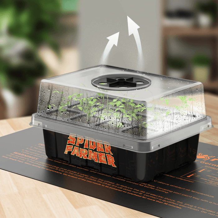 Spider Farmer Seed Starting Trays (4 - Pack) | 12 - Cell Trays with Domes for Optimal Germination - Ed's Plant Shop