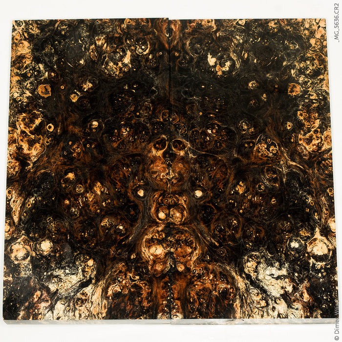Stabilized box elder burl wood panels