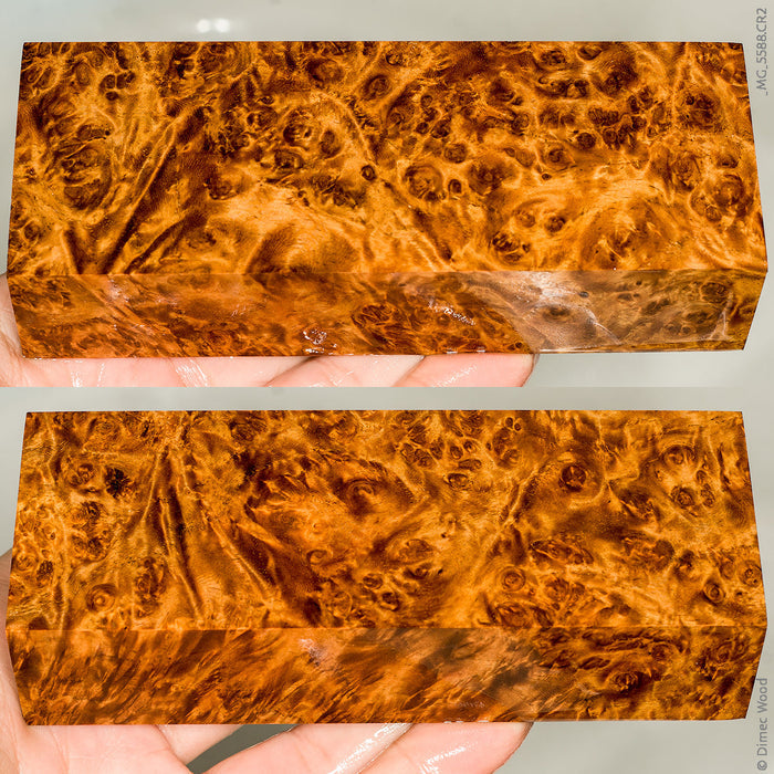 Stabilized wood golden amboyna burl block