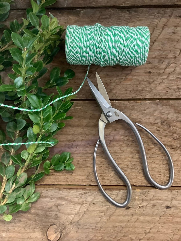 Stainless Garden Scissors (Pruning Shears/Pruners/Secateurs/Clippers) - Ed's Plant Shop