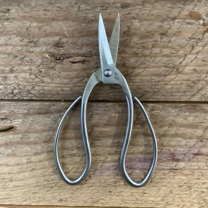 Stainless Garden Scissors (Pruning Shears/Pruners/Secateurs/Clippers) - Ed's Plant Shop