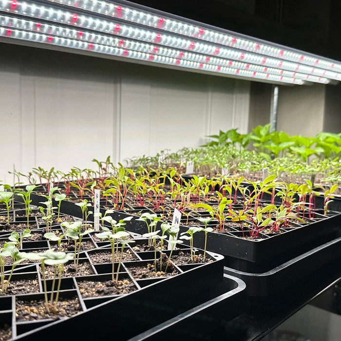 T5 HO Ballast Bypass 4FT LED Grow Lamp (54W Eqv.) – Sun White Pro Spectrum - Ed's Plant Shop